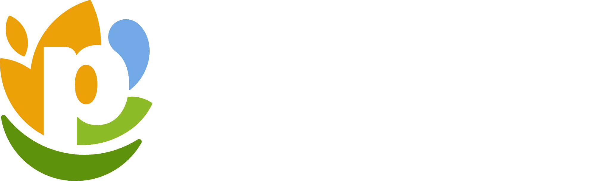 PEPSICO Logo
